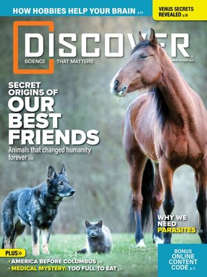 cover image of Discover